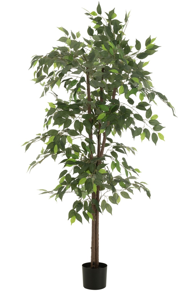 Ficus artificiel en pot vert