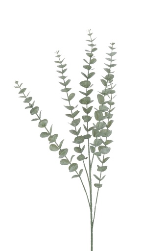 Branch Eucalyptus Leaves Plastic Green